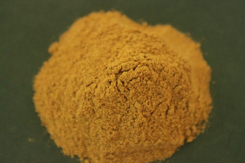 Anacyclus pyrethrum